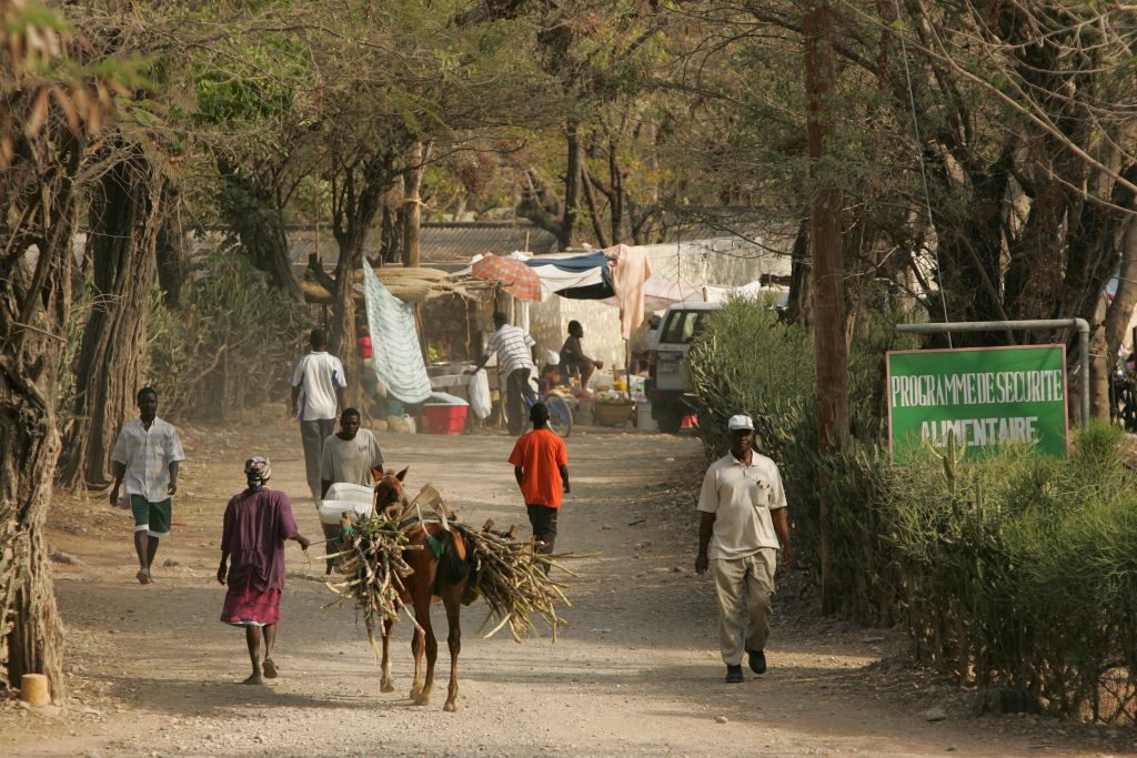 HAS is Committed to Supporting United Nations’ Sustainable Development